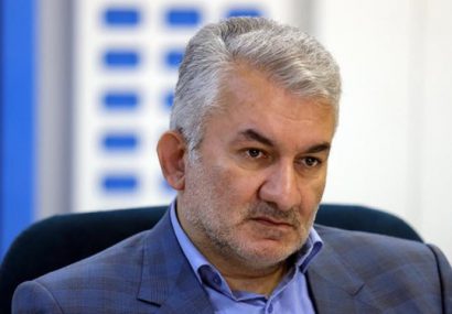 واکنش معاون سازمان مالیاتی به فرار مالیاتی «عباس ایروانی»