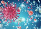 شناسایی سریع کروناویروس با یک آزمایش پادتن جدید