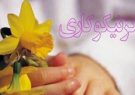 ۶ مرکز نیکوکاری تخصصی اشتغال در مازندران راه اندازی شده است