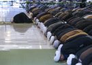 نماز عید فطر در مصلی‌ها برگزار نمی‌شود