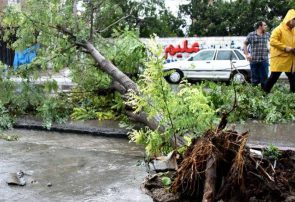 از طوفان شب گذشته مازندران خسارتی گزارش نشده است