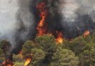 نیازهای منابع طبیعی مازندران در مواقع حریق/ اعلام کمبودهای مواجهه با آتش در جنگل‌های شمال