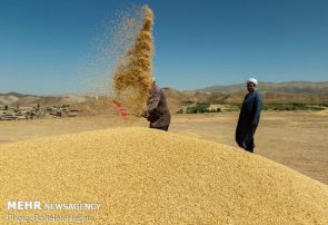 افزایش ۴۳ درصدی جمع آوری زکات در مازندران