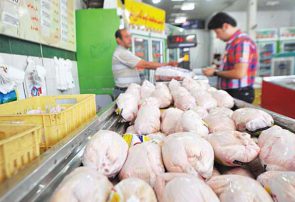 ممنوعیت صادرات گوشت مرغ به گمرک ابلاغ شد