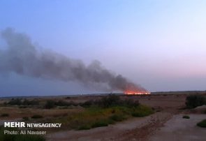 عامل آتش زدن بقایای شالی درآمل دستگیر شد