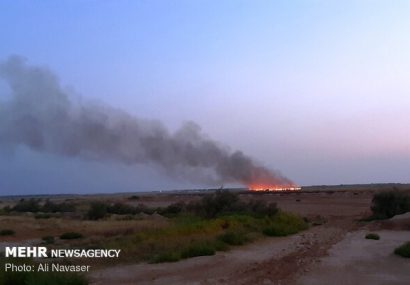 عامل آتش زدن بقایای شالی درآمل دستگیر شد