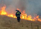 دستگیری ۴۰ متهم آتش‌سوزی جنگل‌های زاگرس