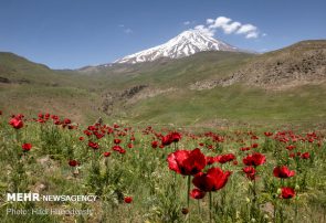 بام ایران به نام مازندران سند خورد