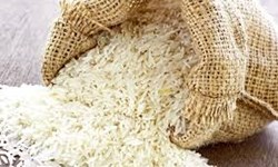 میزان تولید و مصرف برنج دقیق تعیین شود/ ممنوع بودن واردات برنج از مرداد تا آبان‌ماه