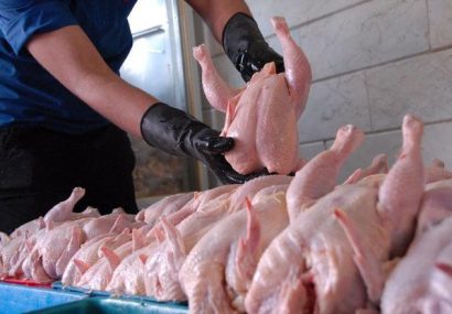 قیمت مرغ به ١٧ هزار و ٥٠٠تومان رسید/ تکذیب افزایش نرخ در ماه محرم