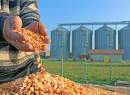 واگذاری مسئولیت نظارت و توزیع نهادههای دامی به شرکت پشتیبانی امور دام واگذاری مسئولیت نظارت و توزیع نهادههای دامی به شرکت پشتیبانی امور دام