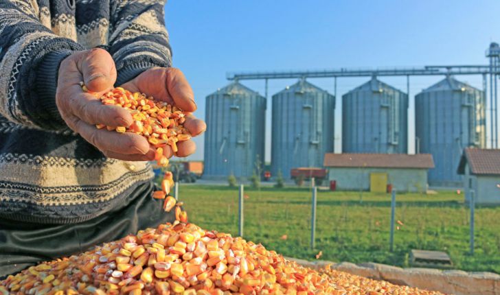 واگذاری مسئولیت نظارت و توزیع نهادههای دامی به شرکت پشتیبانی امور دام واگذاری مسئولیت نظارت و توزیع نهادههای دامی به شرکت پشتیبانی امور دام