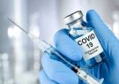آمریکا آماده تایید واکسن کرونا قبل از تکمیل آزمایش های بالینی