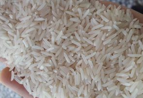 قیمت نهایی برنج برای مصرف کننده 18 هزار و پانصد تومان