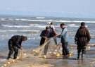 ممنوعیت صید ماهیان خاویاری توسط 5 کشور ساحلی حاشیه خزر