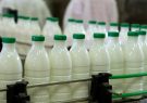 صادرات شیرخشک، فراورده‌های لبنی و دام زنده آزاد شد/قیمت شیر خام 6400