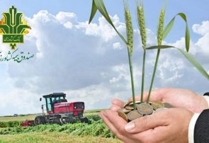 صندوق بیمه کشاورزی 118درصد در اجرای برنامه ابلاغی سال زراعی موفق بود