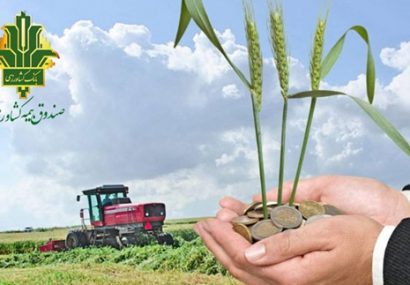 صندوق بیمه کشاورزی 118درصد در اجرای برنامه ابلاغی سال زراعی موفق بود