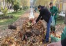 اجرای طرح معبر پاییزی در بوستان باغ فردوس منطقه یک