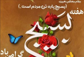 گرامیداشت هفته بسیج در منطقه 13 تهران با اجرای برنامه های متنوع