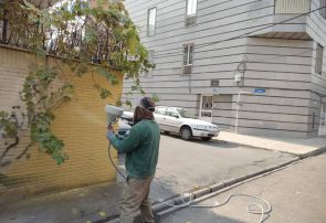تحول سیمای بصری منطقه 19 تهران با پاکسازی دیوارهای بدمنظر