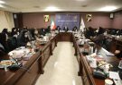 نشست تخصصی زنان فعال کشور در شورایعالی مناطق آزاد برگزار شد