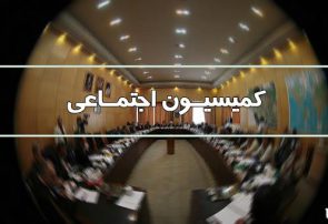 دبیر شورایعالی مناطق آزاد به کمیسیون اجتماعی مجلس می رود