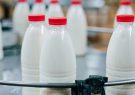 راهکار افزایش سرانه مصرف لبنیات در سبد خانوار/ چرا قیمت شیر و ماست دوباره رشد کرد