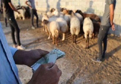 افزایش سرسام آور گوشت در قطب دامداری غرب ایران| دام‌ها قاچاق می‌شوند
