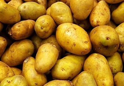 صادرات پیاز و سیب‌زمینی از اول خرداد ممنوع می‌شود