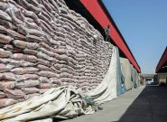 برنج وارداتی کماکان مشمول دریافت ارز ترجیحی باقی ماند