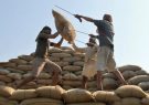 روی خوش هند به خریداران جهانی برنج