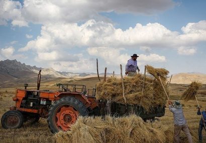 امکان اخذ مالیات از فعالیت‎های کشاورزی در ایران وجود ندارد