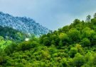 جنگل‌های هیرکانی فرصت‌ها و تهدیدها