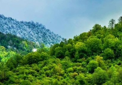 جنگل‌های هیرکانی فرصت‌ها و تهدیدها
