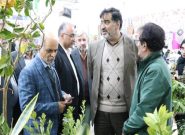 آب رفتن آمار تولید فاجعه‌بار کلزا در مازندران/ بابک مؤمنی مردود شد
