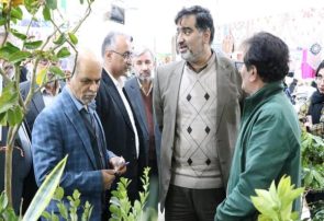 آب رفتن آمار تولید کلزا در مازندران