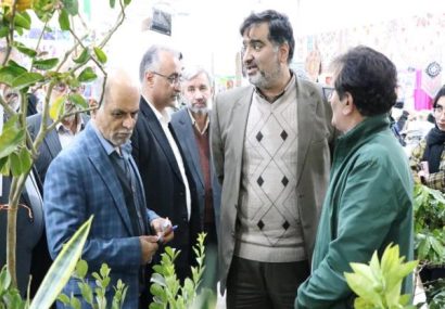 آب رفتن آمار تولید فاجعه‌بار کلزا در مازندران/ بابک مؤمنی مردود شد