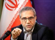 گلرو: مجلس خروج از NPT را در دست بررسی دارد