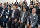 آغاز فصل نوین خاویاری در مازندران/ رهاسازی ۲۰ هزار بچه‌ماهی در جویبار توسط بخش خصوصی