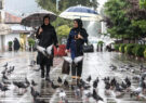 بارش باران در نوار شمالی کشور