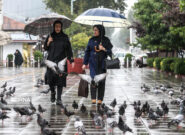 بارش باران در نوار شمالی کشور