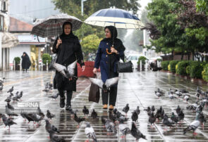 بارش باران در نوار شمالی کشور