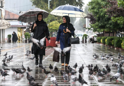 بارش باران در نوار شمالی کشور