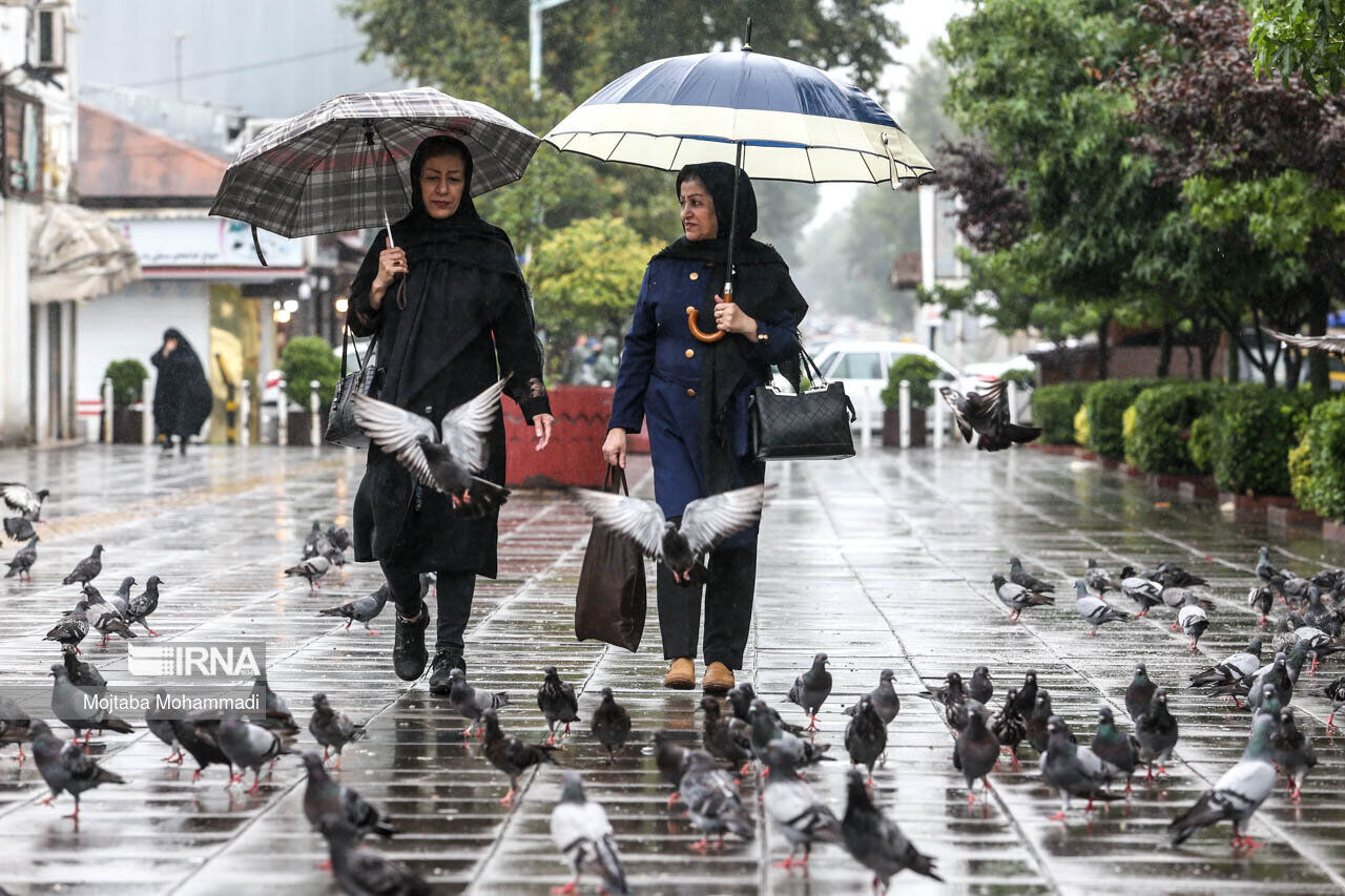 بارش باران در نوار شمالی کشور