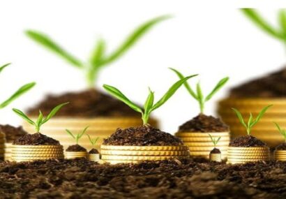 مناطق آزاد اردبیل ظرفیت مناسبی برای سرمایه‌گذار خارجی دارد