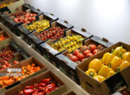 برگزاری نمایشگاه اگروفود در حاشیه اجلاس استانداران خزر برگزاری نمایشگاه اگروفود در حاشیه اجلاس استانداران خزر