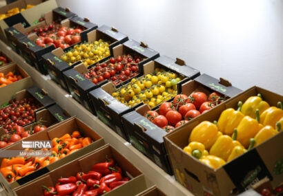 برگزاری نمایشگاه اگروفود در حاشیه اجلاس استانداران خزر