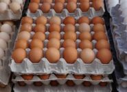 تخم مرغ فله ۲۵۰ تا ۲۷۰ هزارتومان/آینده بازار تخم مرغ چه می شود