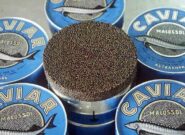 صادرات ۳.۵ تن خاویار در نیمه اول ۱۴۰۴؛ بیشترین متقاضی در کشورهای عربی صادرات ۳.۵ تن خاویار در نیمه اول ۱۴۰۴؛ بیشترین متقاضی در کشورهای عربی